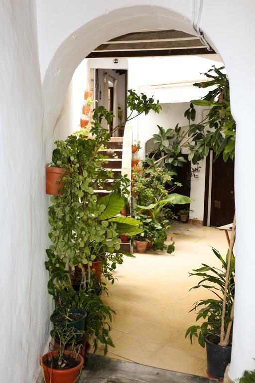 Casa Bodega Triana Apartment