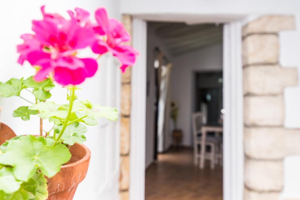 Casa Bodega Triana Apartment Vejer de la Frontera
